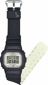 DW-5600SHB-1