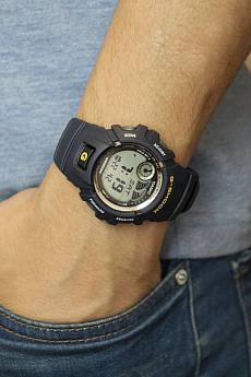 G-2900F-2V